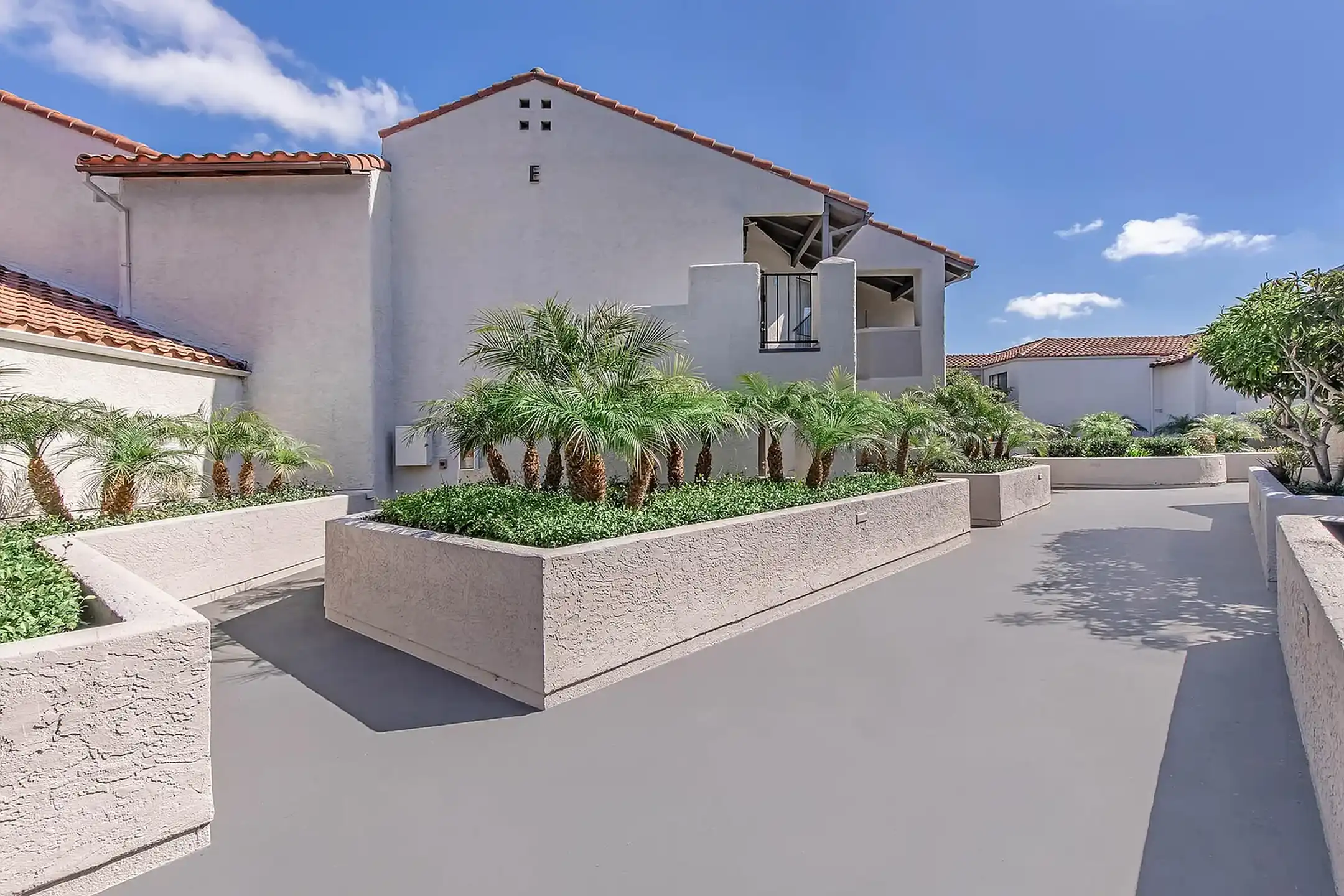 The Triangle Garden photo 10