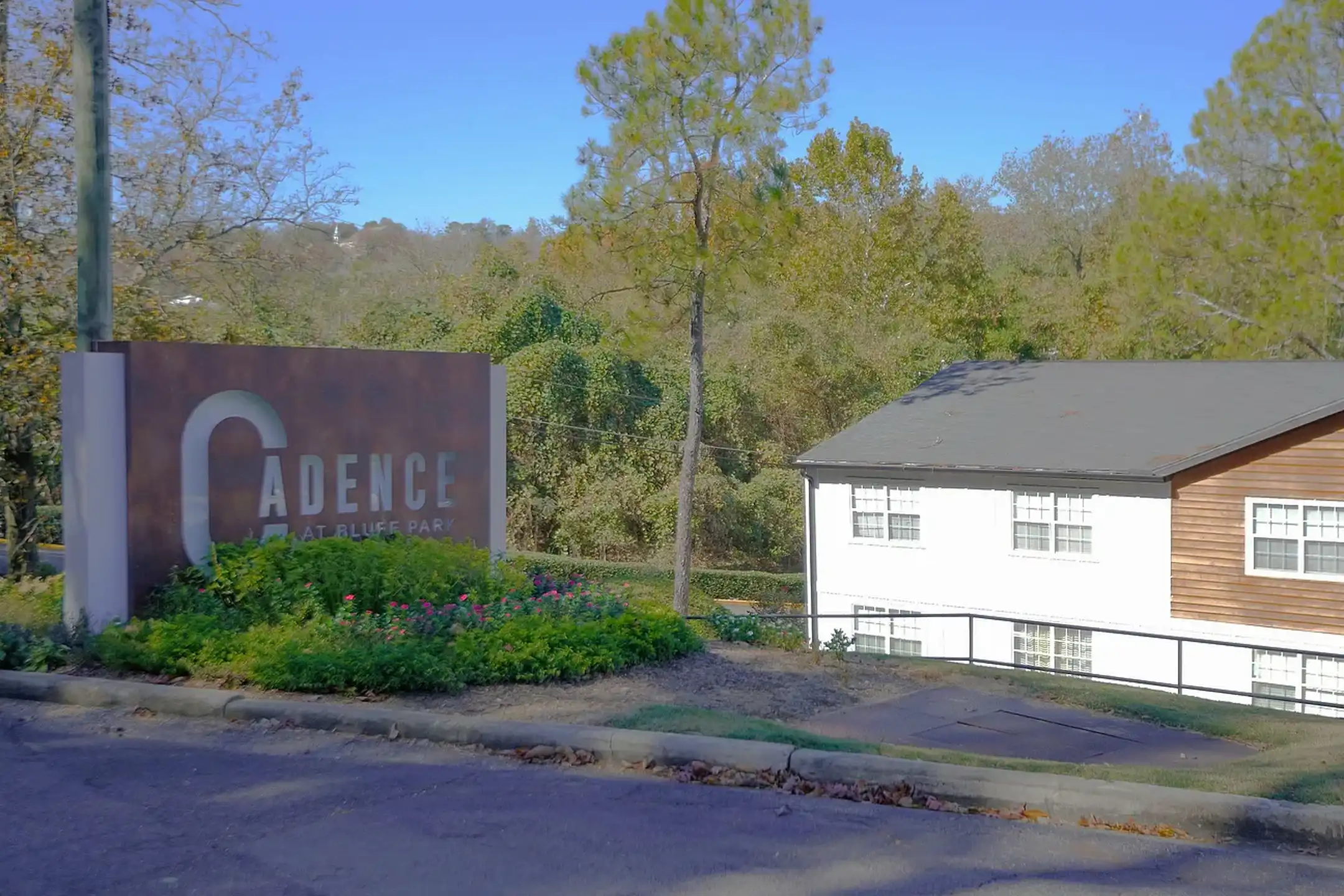 Cadence At Bluff Park Reviews