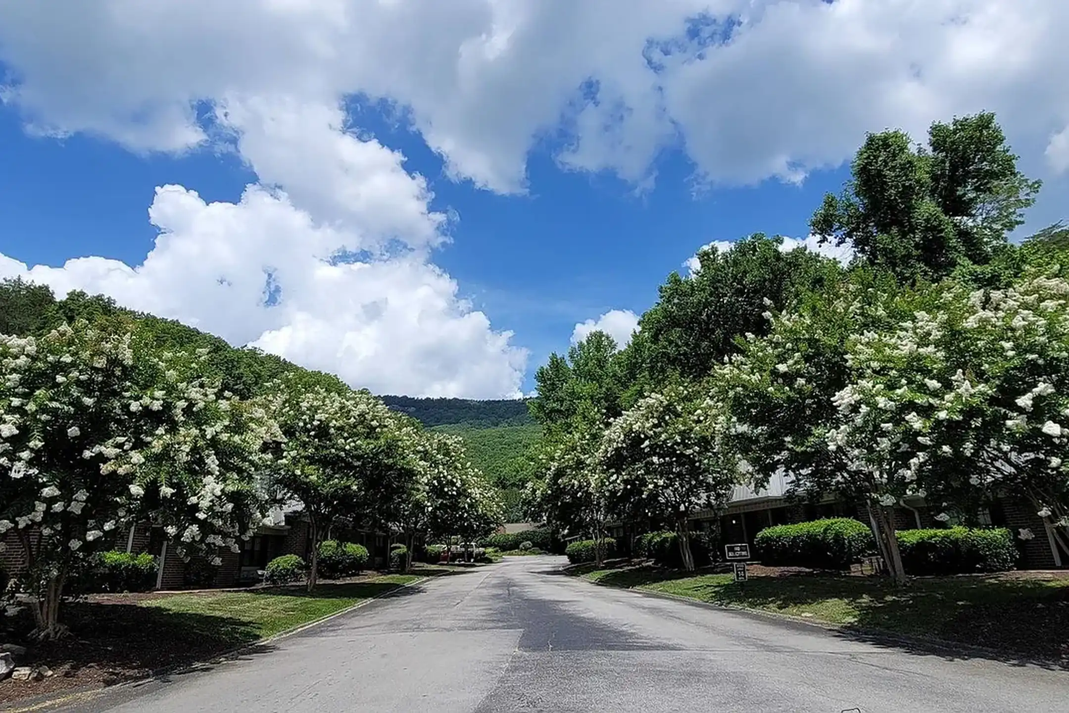 Image showcasing Trails of Signal Mountain - Chattanooga, TN 37415 | ApartmentGuide.com