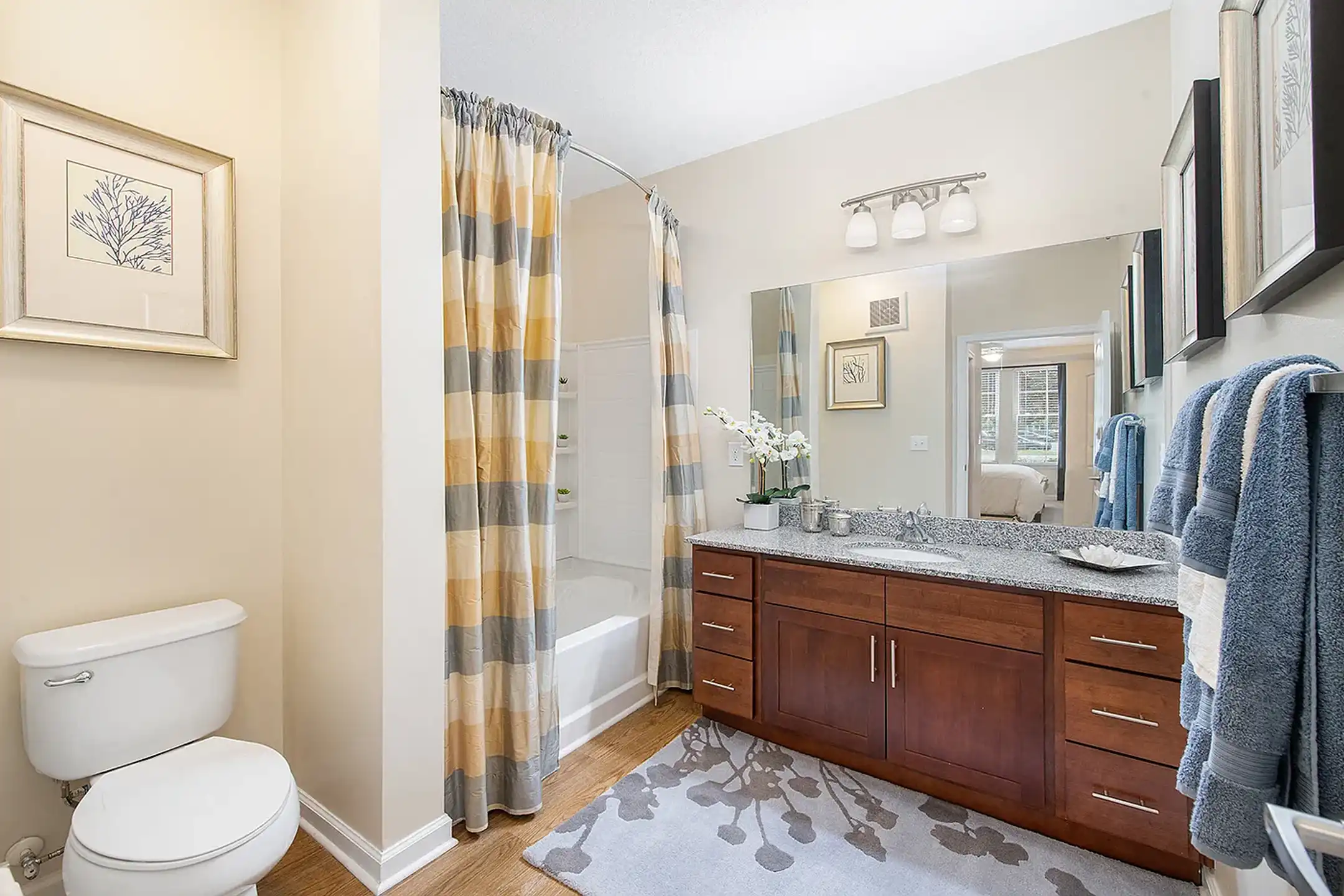 maa様 MAA Stonefield | Luxury Apartments in Charlottesville, VA