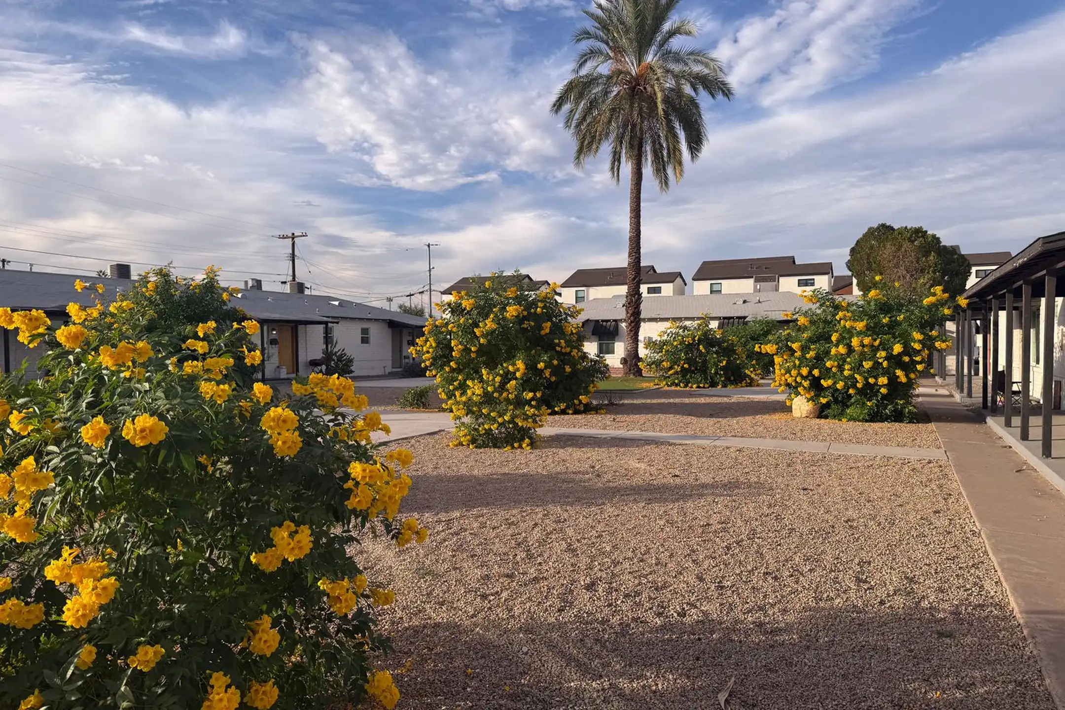730 E Turney Ave unit 736-06 - Phoenix, AZ 85014 | ApartmentGuide.com