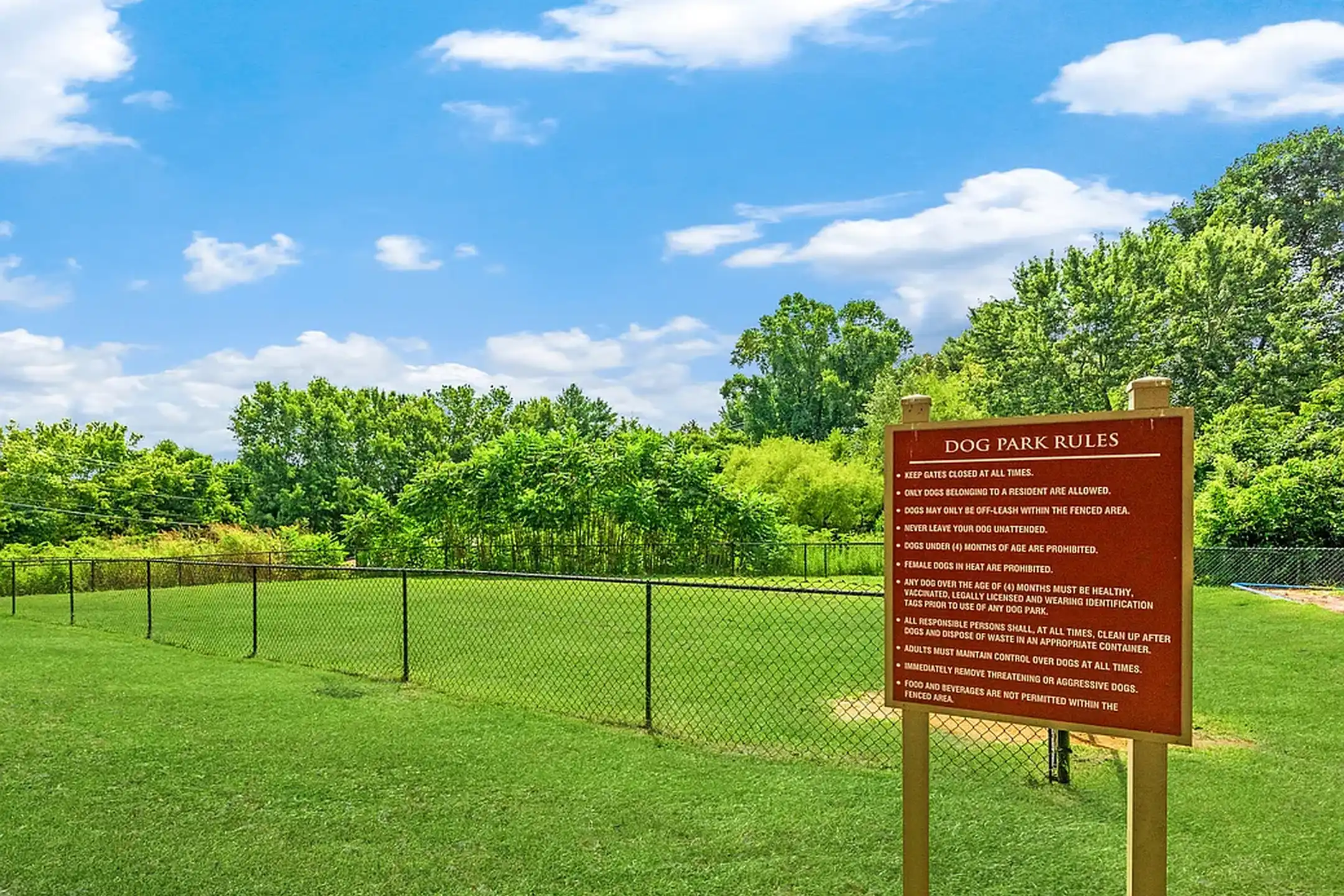 Steeplechase Knoxville, TN 37912