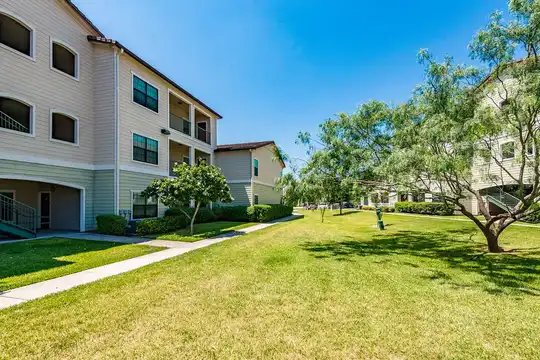Apartments for Rent in Mission, TX - 154 Rentals | ApartmentGuide.com