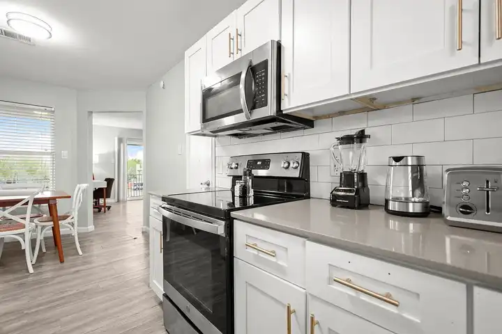 The Canopy at South Congress - Austin, TX 78745 | ApartmentGuide.com