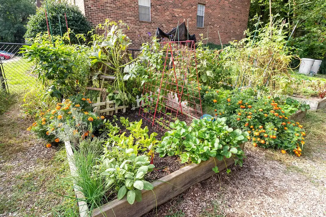 Curated visual reference: Picture Idea: Willow Oaks Apartments Richmond Va 23225